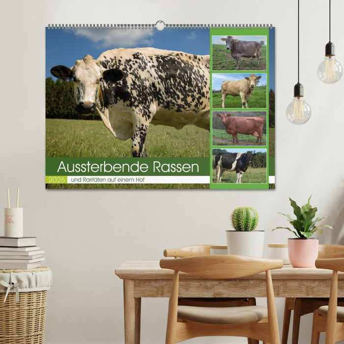 Aussterbende Rassen und Raritäten (CALVENDO Wandkalender 2026)