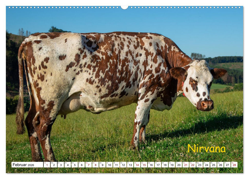 Aussterbende Rassen und Raritäten (CALVENDO Wandkalender 2026)