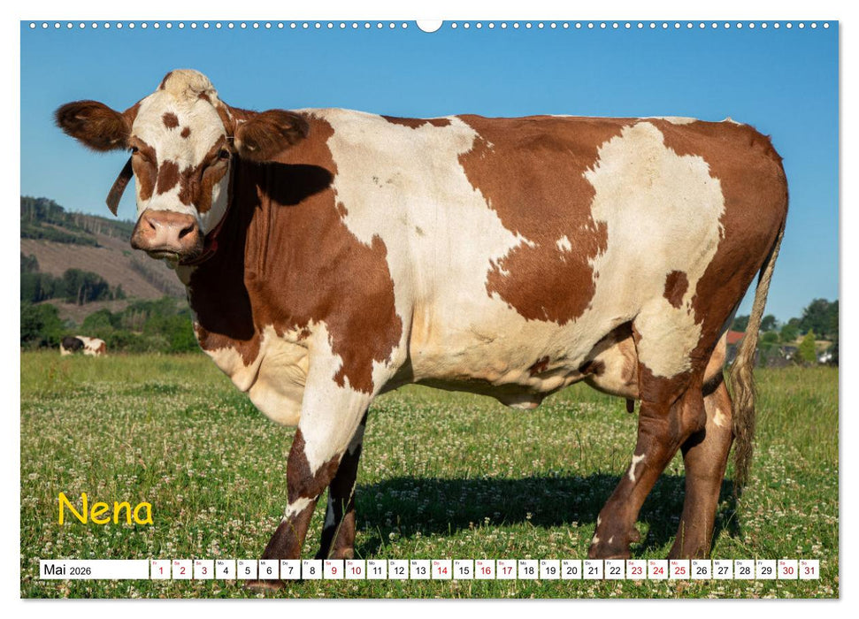 Aussterbende Rassen und Raritäten (CALVENDO Wandkalender 2026)