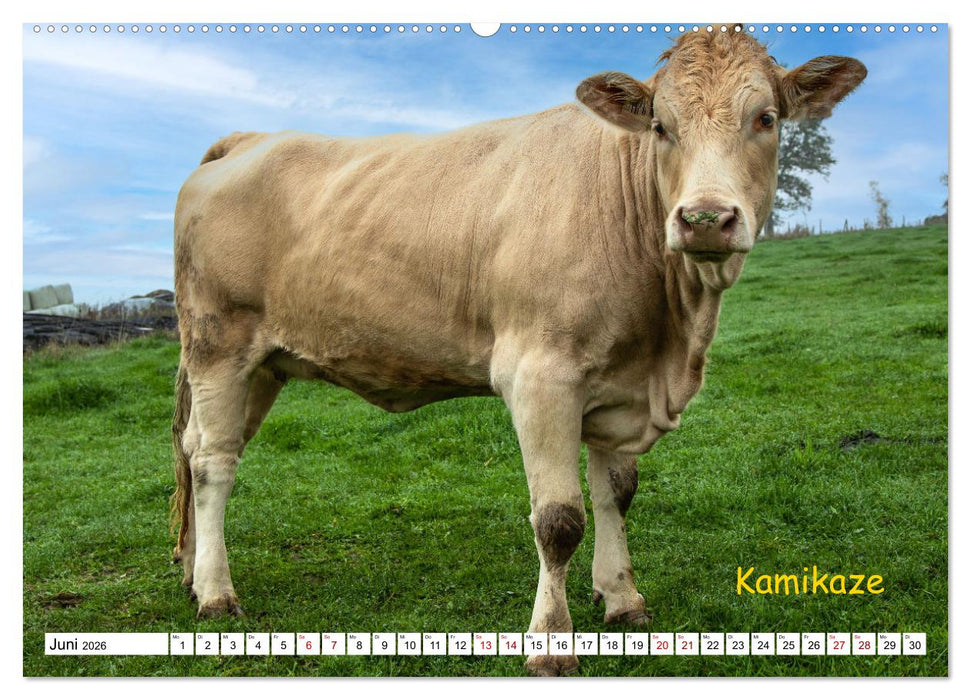 Aussterbende Rassen und Raritäten (CALVENDO Wandkalender 2026)