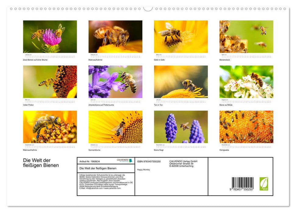 Die Welt der fleißigen Bienen (CALVENDO Premium Wandkalender 2026)