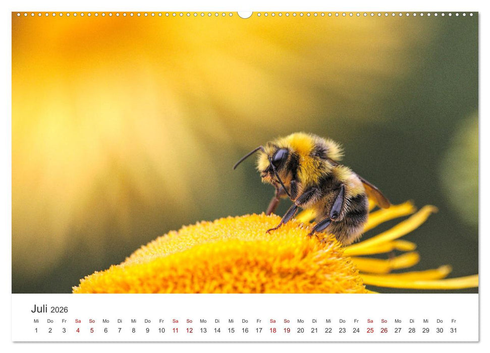 Die Welt der fleißigen Bienen (CALVENDO Premium Wandkalender 2026)