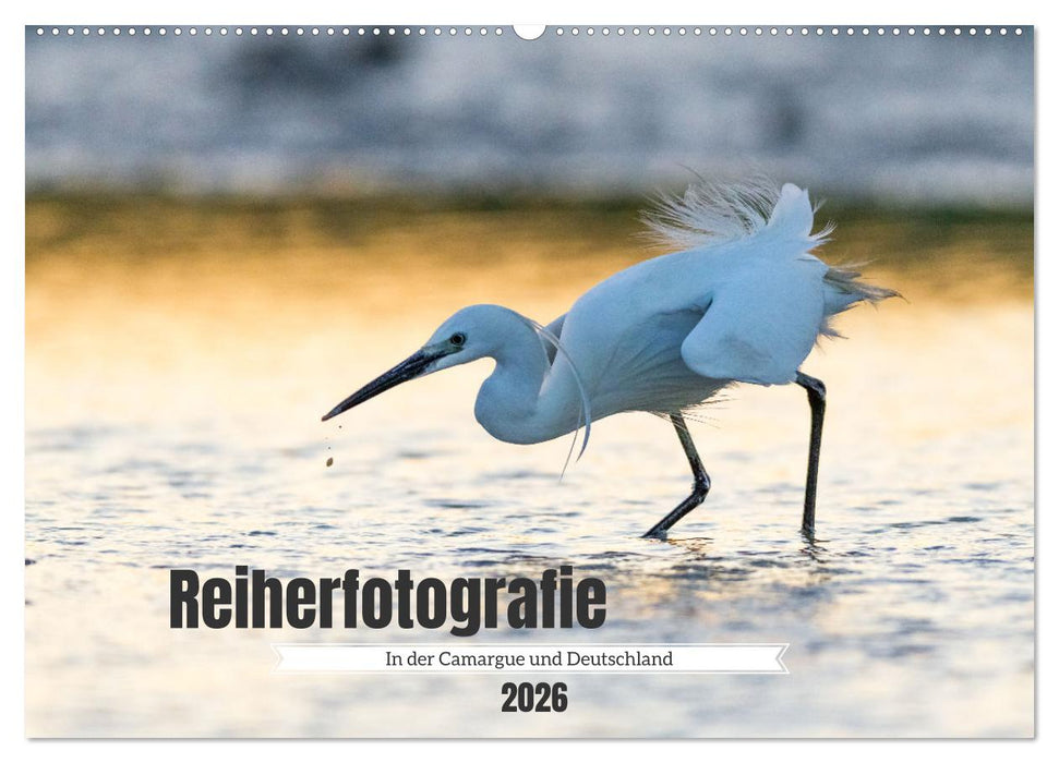 Reiherfotografie (CALVENDO Wandkalender 2026)