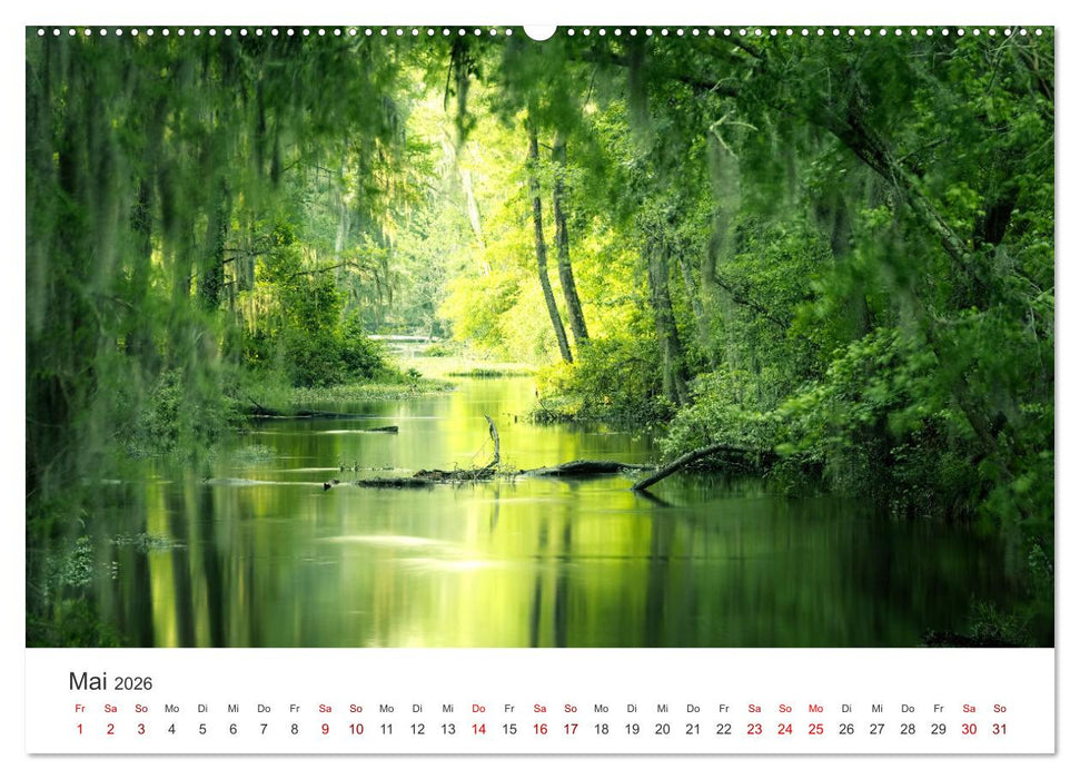 Eine Reise durch die Wälder dieser Welt (CALVENDO Premium Wandkalender 2026)