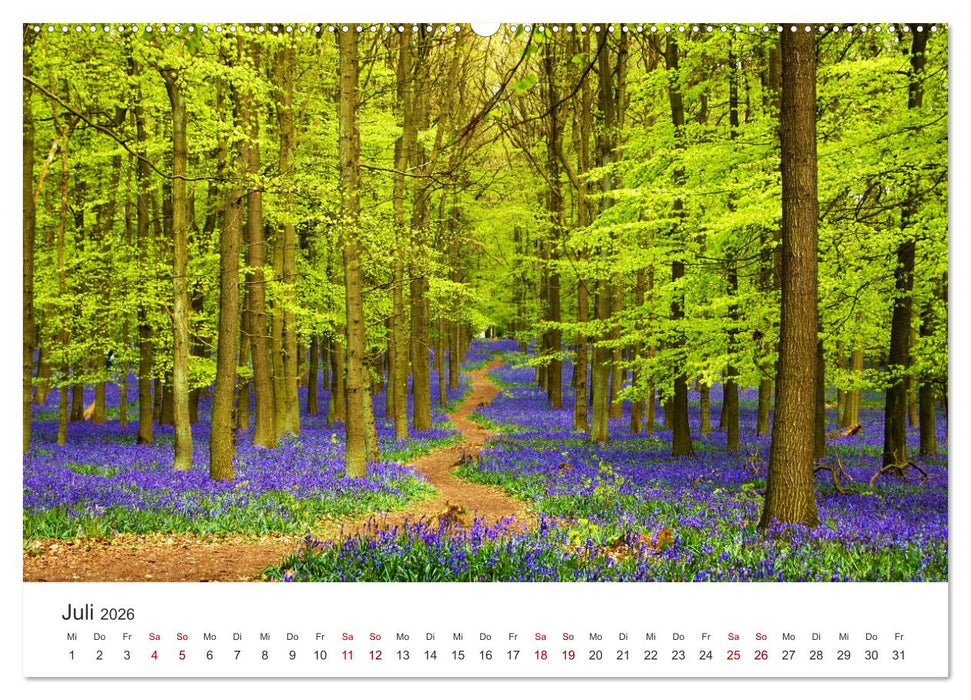 Eine Reise durch die Wälder dieser Welt (CALVENDO Premium Wandkalender 2026)