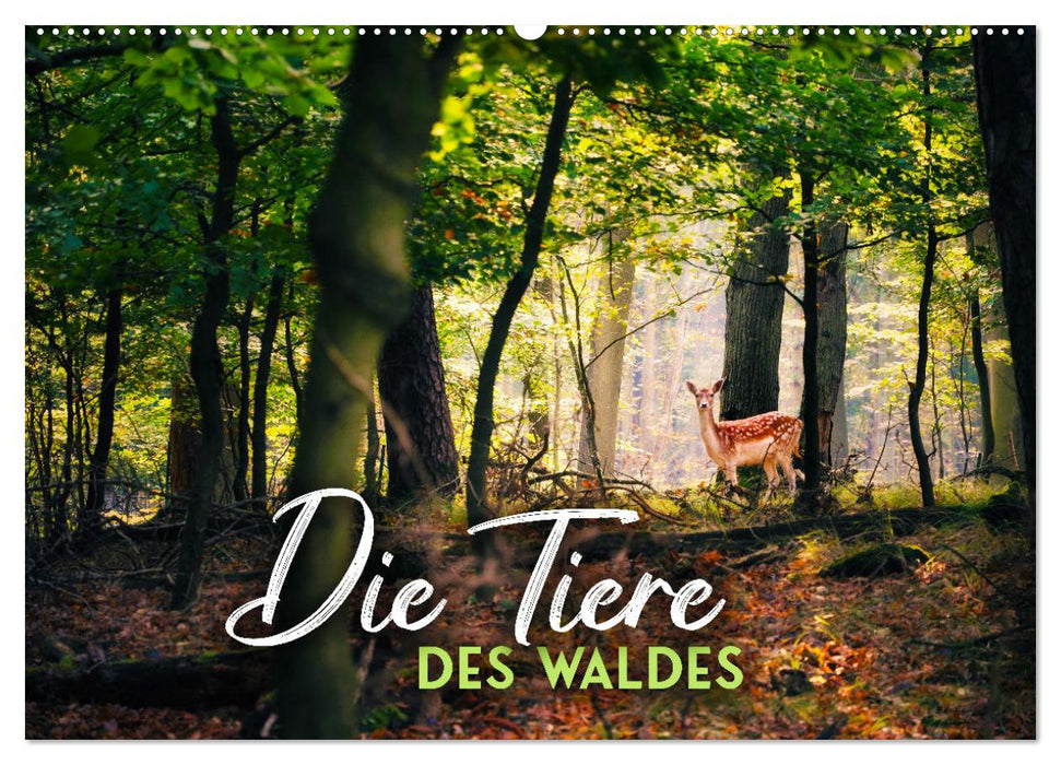 Die Tiere des Waldes (CALVENDO Wandkalender 2026)