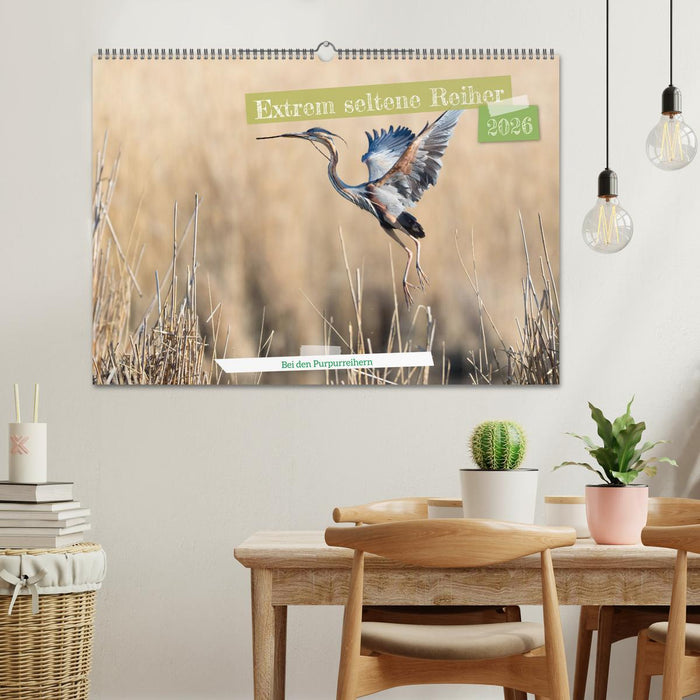 Extrem seltene Reiher (CALVENDO Wandkalender 2026)