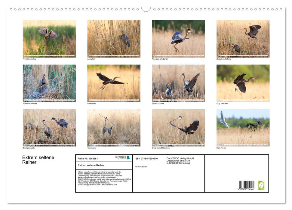 Extrem seltene Reiher (CALVENDO Wandkalender 2026)