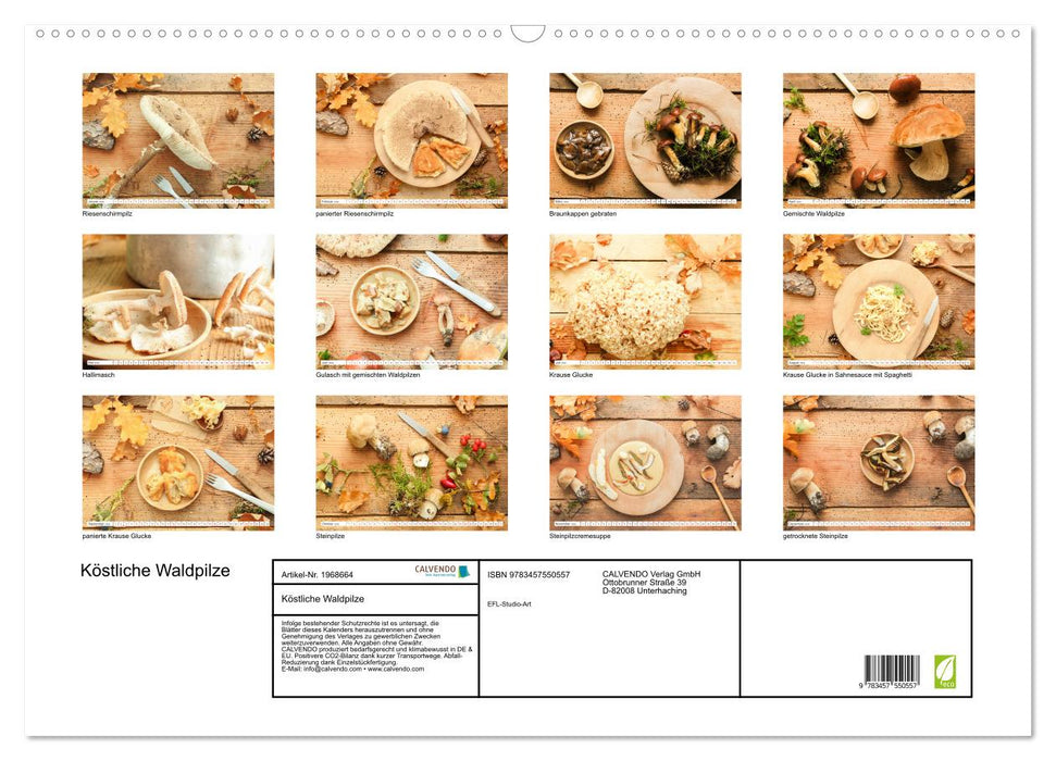 Köstliche Waldpilze (CALVENDO Wandkalender 2026)