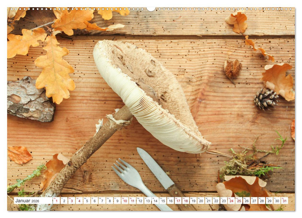 Köstliche Waldpilze (CALVENDO Wandkalender 2026)