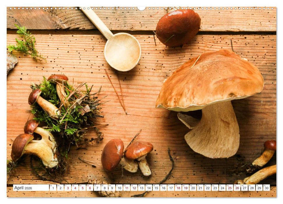 Köstliche Waldpilze (CALVENDO Wandkalender 2026)