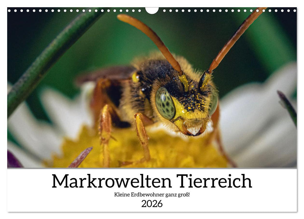 Makrowelten Tierreich (CALVENDO Wandkalender 2026)