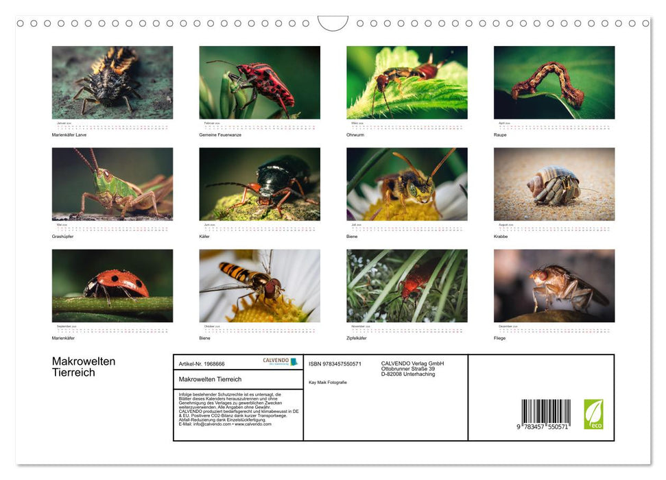 Makrowelten Tierreich (CALVENDO Wandkalender 2026)