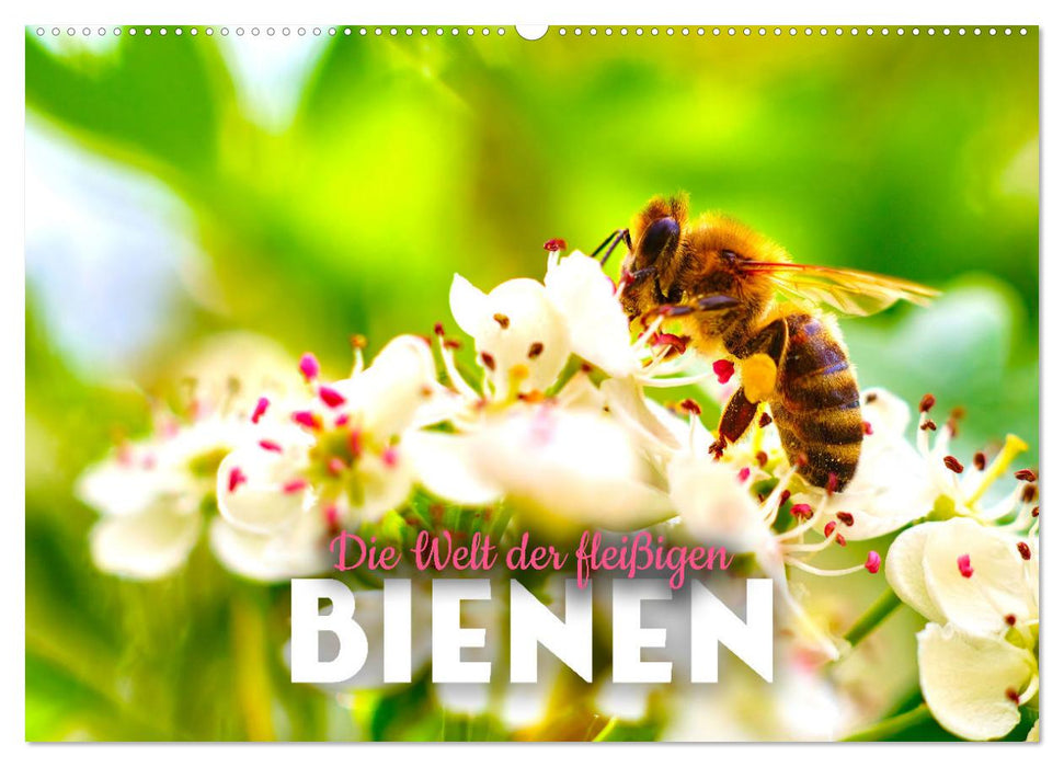 Die Welt der fleißigen Bienen (CALVENDO Wandkalender 2026)