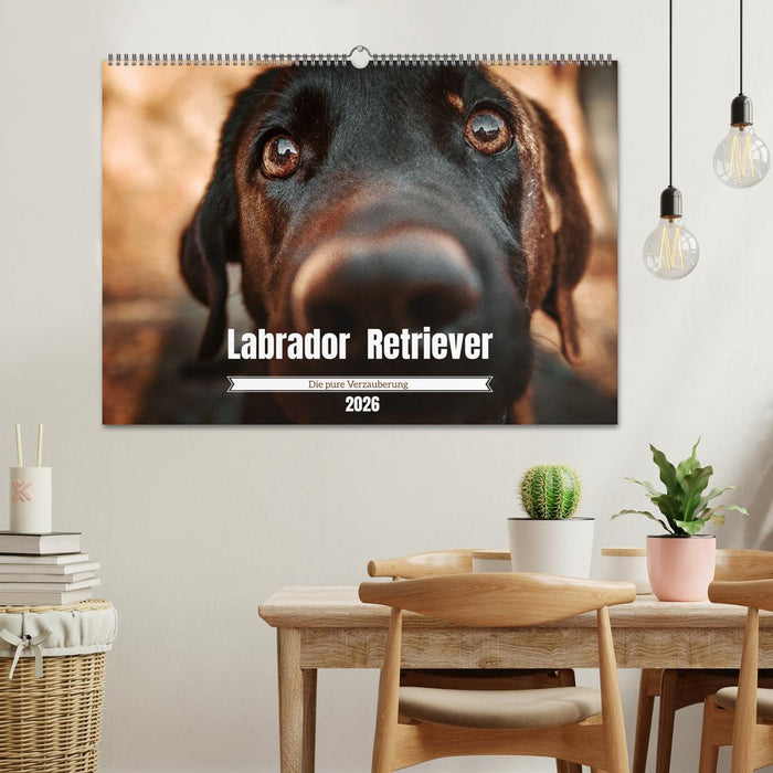 Verzauberung Labrador Retriever 2026 (CALVENDO Wandkalender 2026)