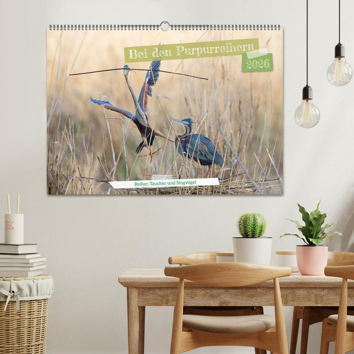 Bei den Purpurreihern (CALVENDO Wandkalender 2026)