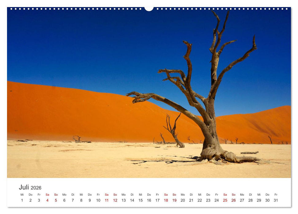 Deadvlei - Ein einzigartiges Naturwunder. (CALVENDO Premium Wandkalender 2026)