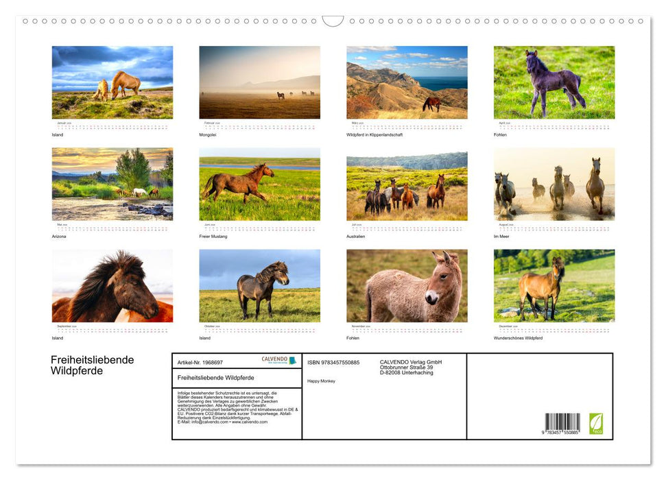 Freiheitsliebende Wildpferde (CALVENDO Wandkalender 2026)