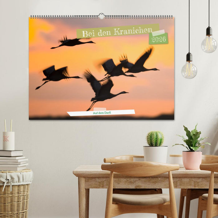 Bei den Kranichen (CALVENDO Wandkalender 2026)