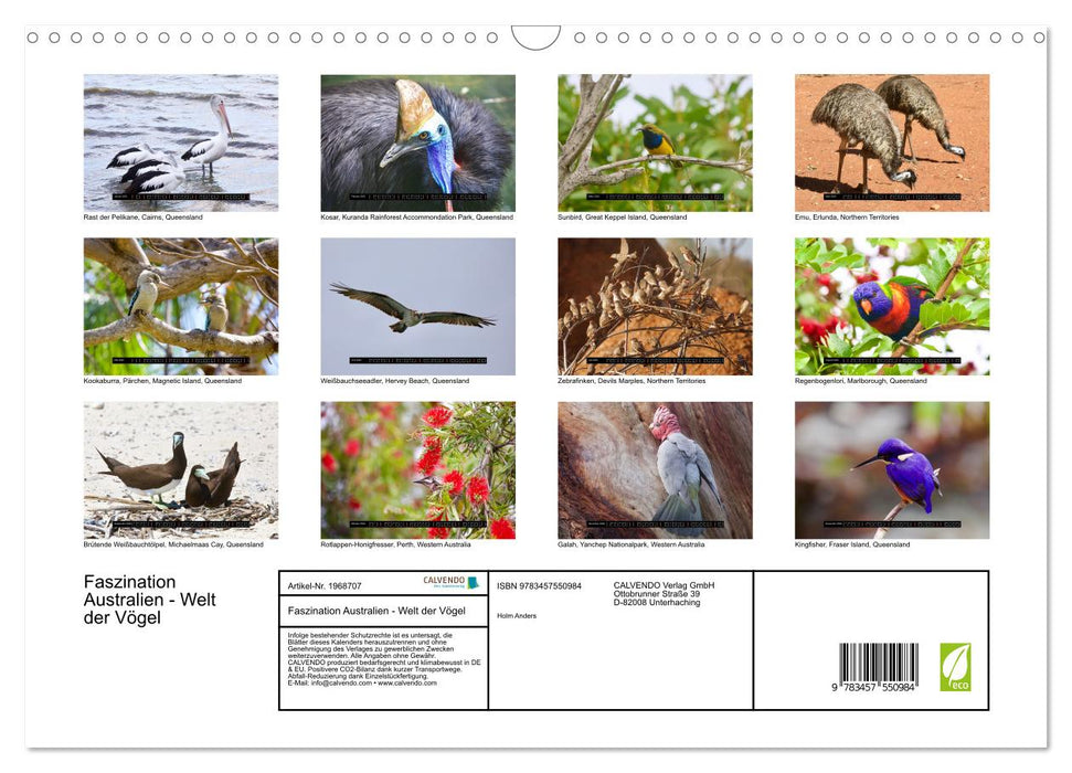 Faszination Australien - Welt der Vögel (CALVENDO Wandkalender 2026)