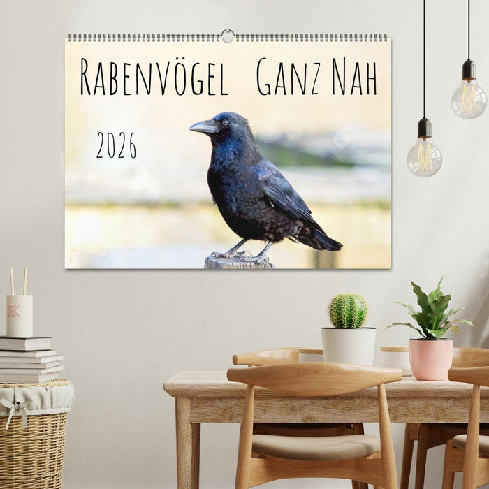 Rabenvögel - ganz nah (CALVENDO Wandkalender 2026)