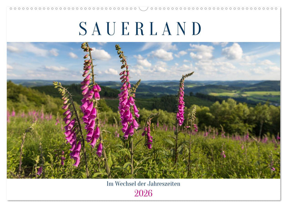 Das Sauerland im Wechsel der Jahreszeiten (CALVENDO Wandkalender 2026)