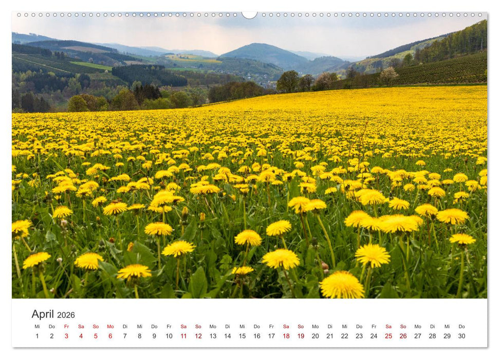 Das Sauerland im Wechsel der Jahreszeiten (CALVENDO Wandkalender 2026)