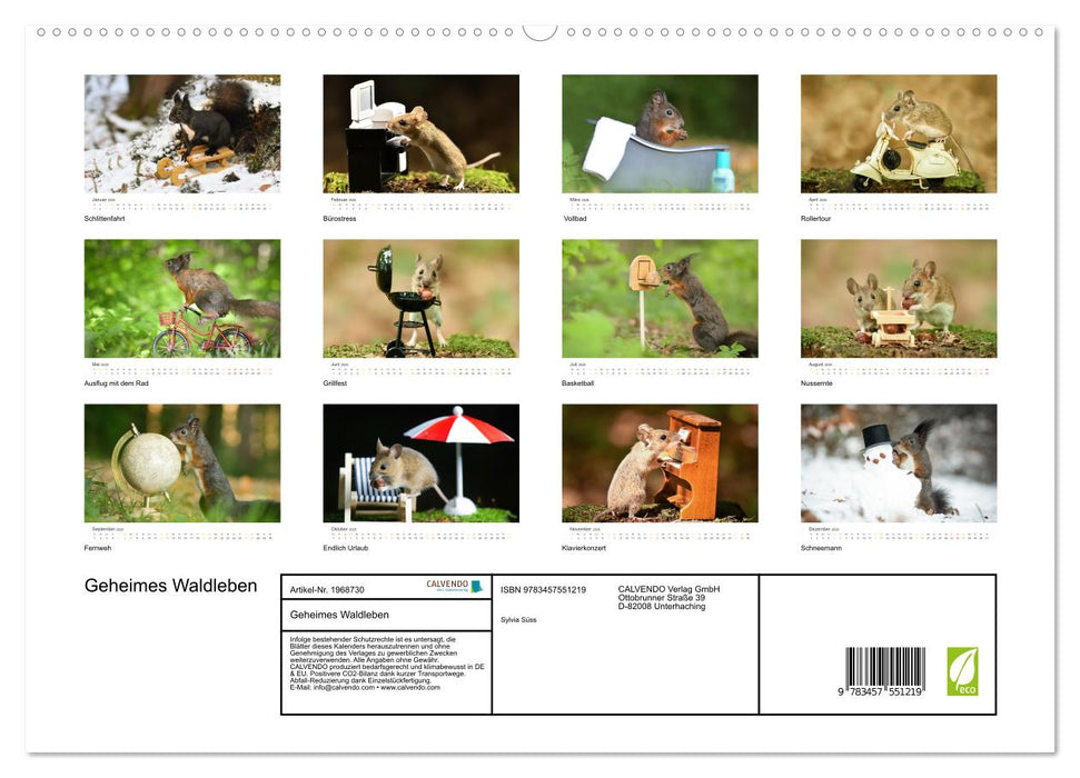 Geheimes Waldleben (CALVENDO Premium Wandkalender 2026)