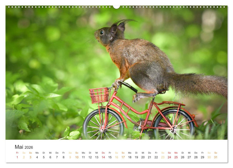 Geheimes Waldleben (CALVENDO Premium Wandkalender 2026)
