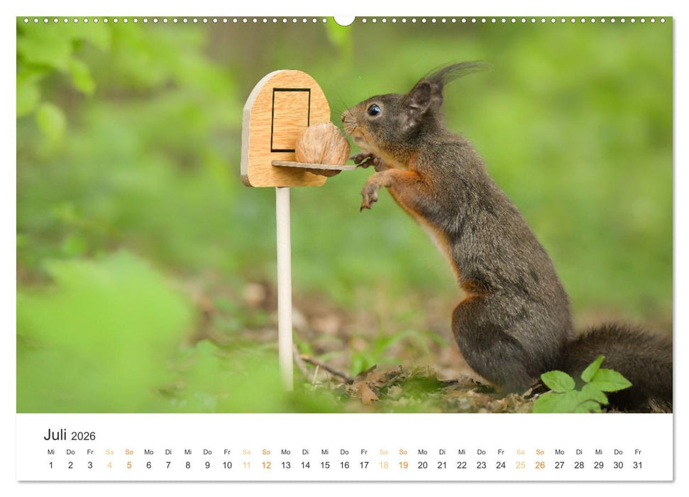 Geheimes Waldleben (CALVENDO Premium Wandkalender 2026)