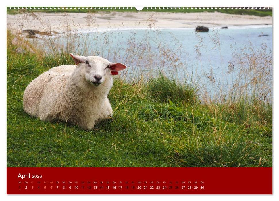 Spektakuläre Bergwelten Norwegen (CALVENDO Premium Wandkalender 2026)