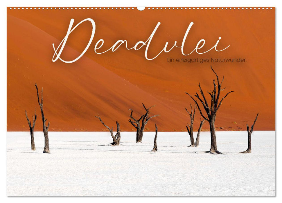 Deadvlei - Ein einzigartiges Naturwunder. (CALVENDO Wandkalender 2026)