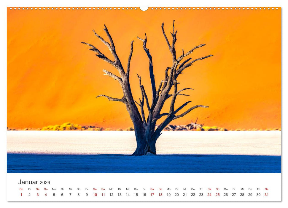 Deadvlei - Ein einzigartiges Naturwunder. (CALVENDO Wandkalender 2026)