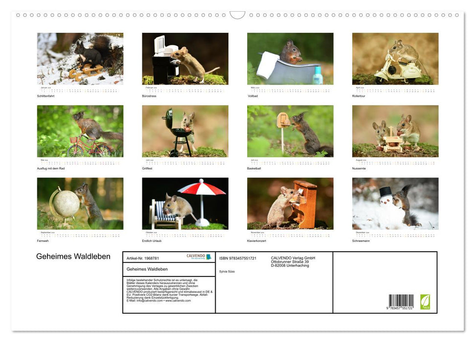 Geheimes Waldleben (CALVENDO Wandkalender 2026)