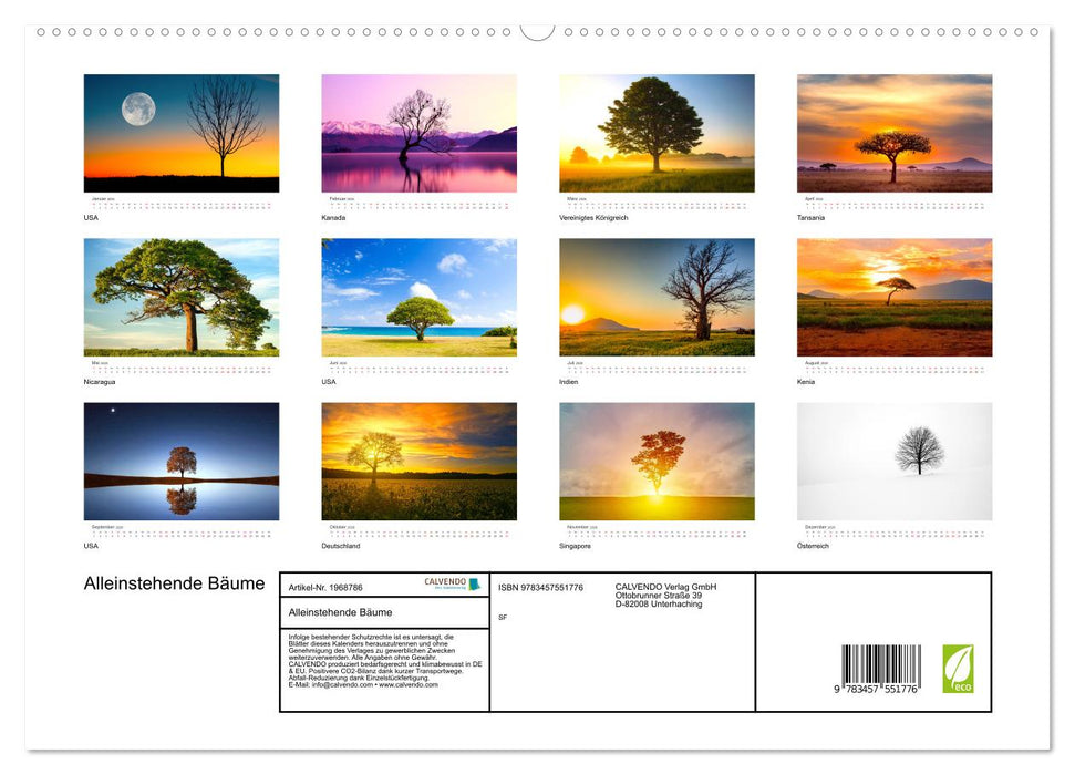 Alleinstehende Bäume (CALVENDO Premium Wandkalender 2026)