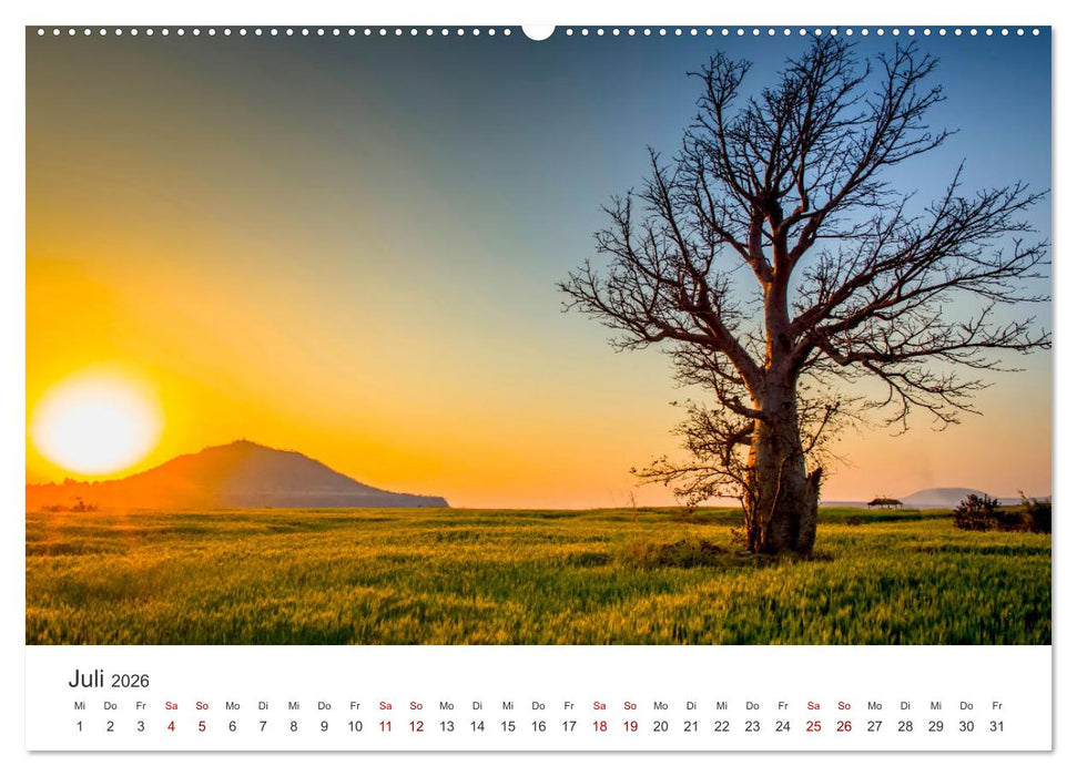 Alleinstehende Bäume (CALVENDO Premium Wandkalender 2026)