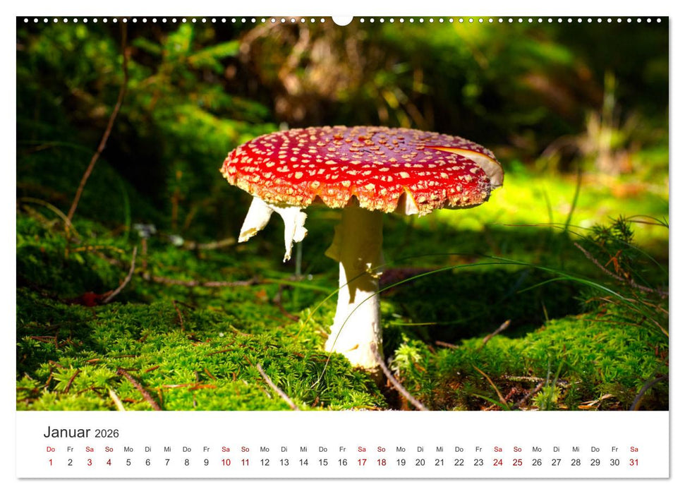 Glücksbringer - Dem Glück auf der Spur. (CALVENDO Premium Wandkalender 2026)