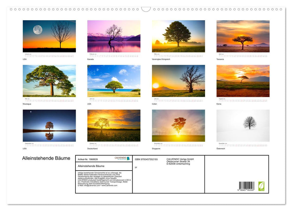 Alleinstehende Bäume (CALVENDO Wandkalender 2026)