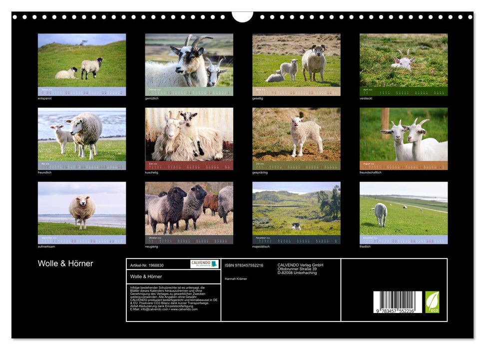 Wolle & Hörner (CALVENDO Wandkalender 2026)