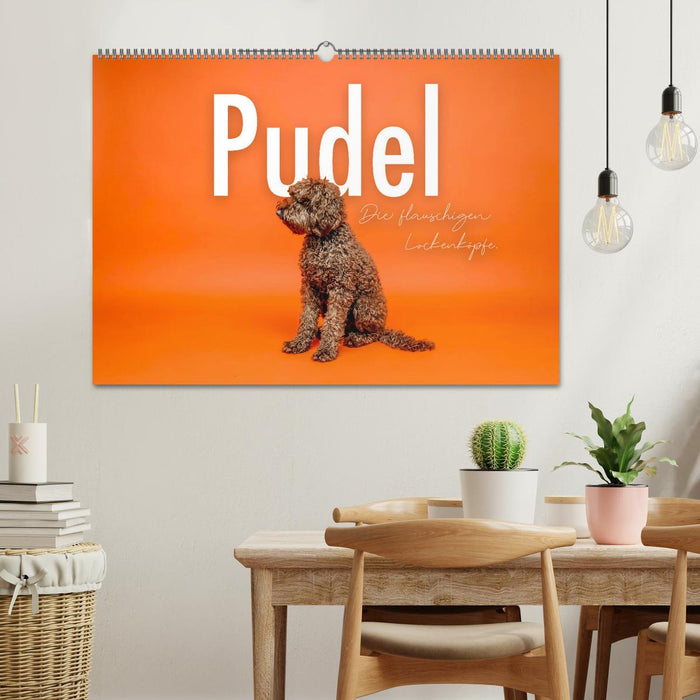 Pudel - Die flauschigen Lockenköpfe. (CALVENDO Wandkalender 2026)