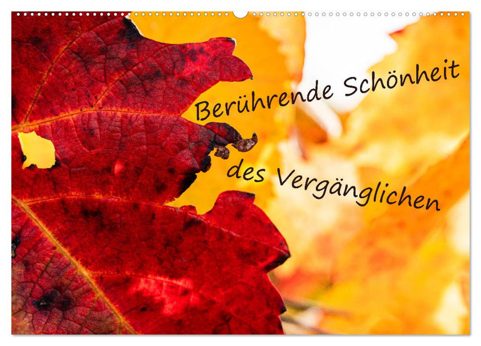 Berührende Schönheit des Vergänglichen (CALVENDO Wandkalender 2026)