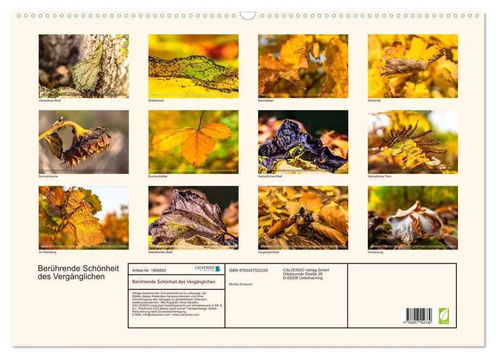 Berührende Schönheit des Vergänglichen (CALVENDO Wandkalender 2026)