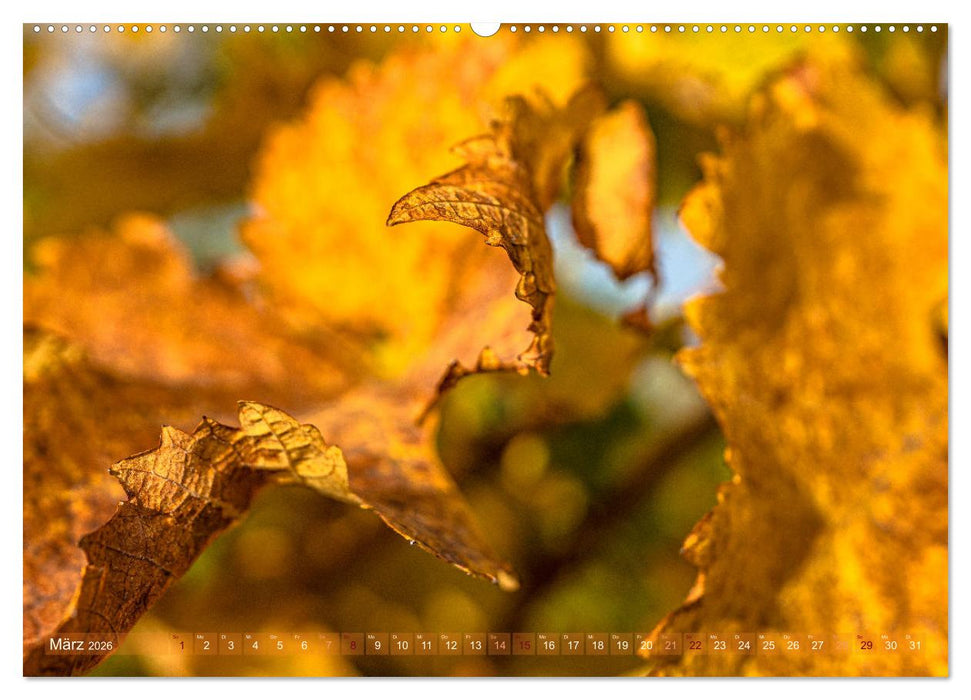 Berührende Schönheit des Vergänglichen (CALVENDO Wandkalender 2026)