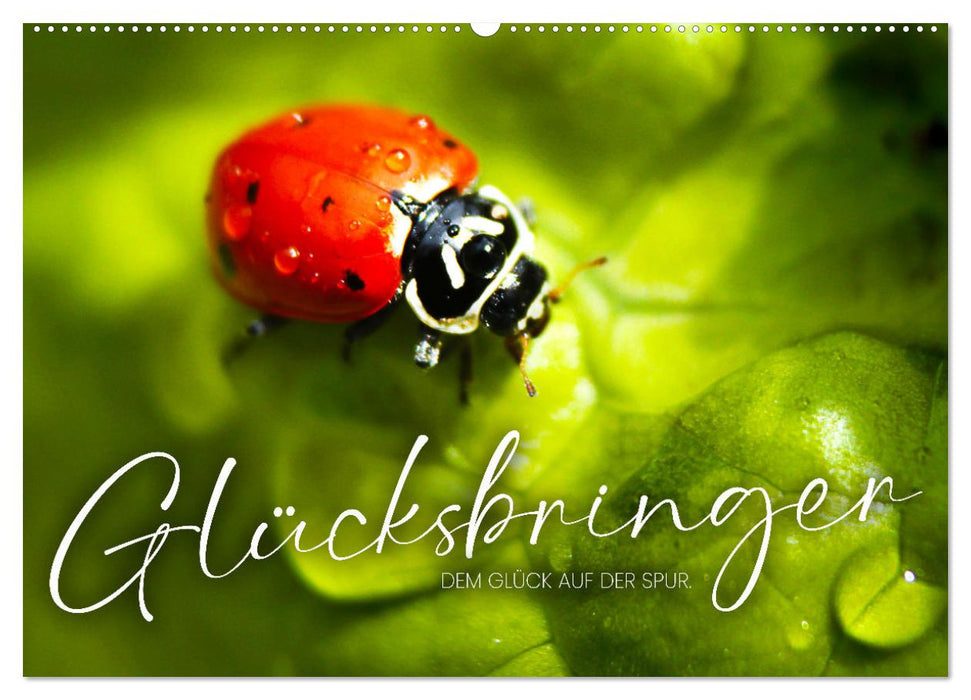 Glücksbringer - Dem Glück auf der Spur. (CALVENDO Wandkalender 2026)
