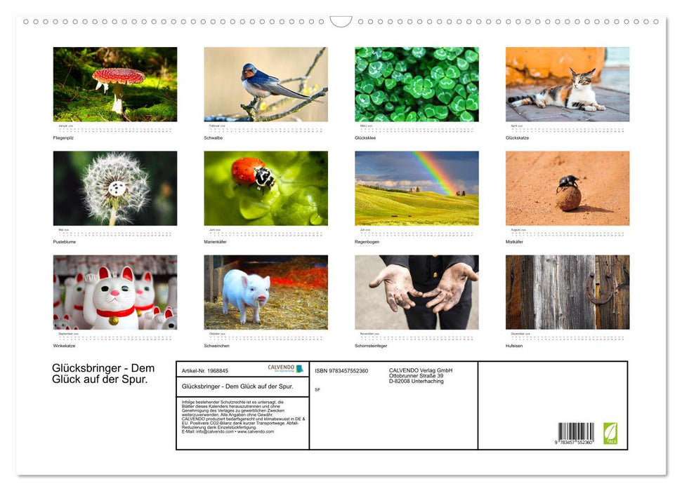 Glücksbringer - Dem Glück auf der Spur. (CALVENDO Wandkalender 2026)