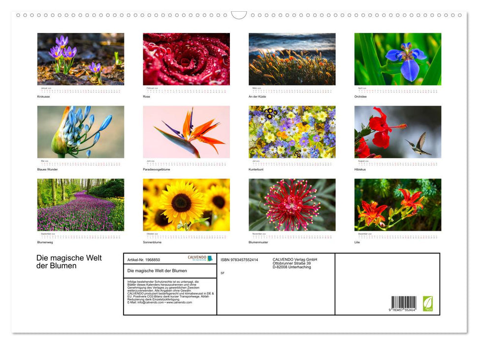 Die magische Welt der Blumen (CALVENDO Wandkalender 2026)