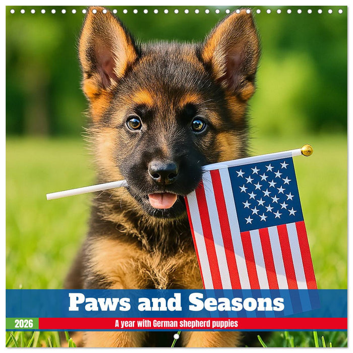 Paws and Seasons - A year with German shepherd puppies (CALVENDO Monthly Calendar 2026)