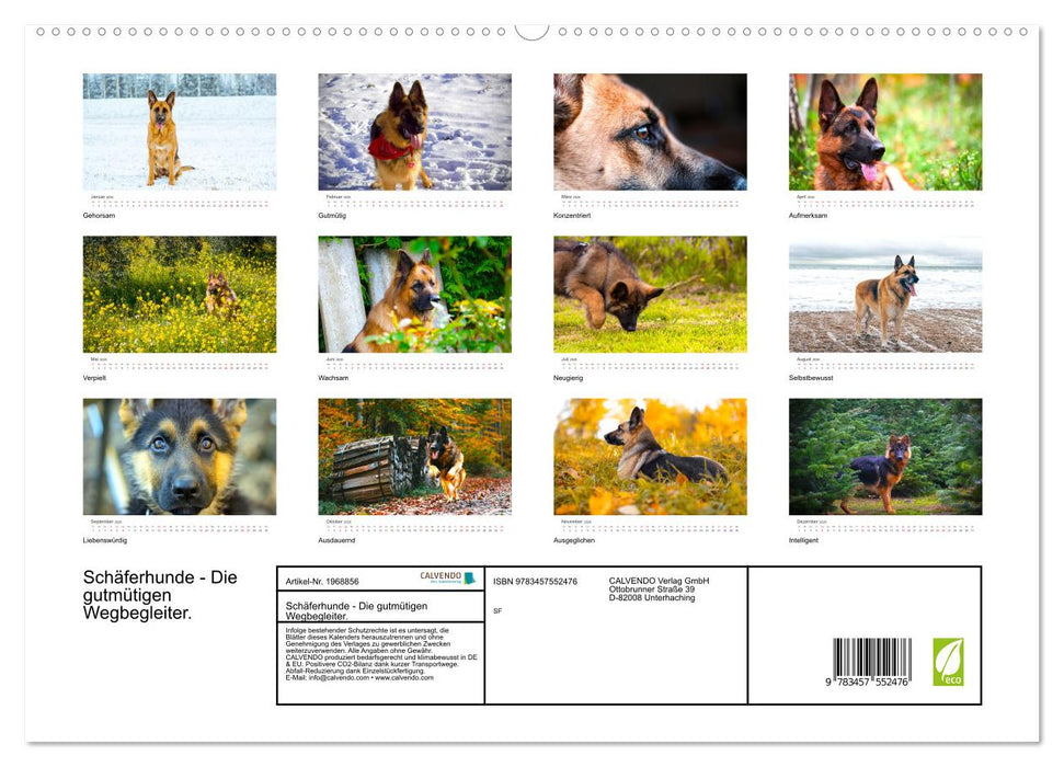 Schäferhunde - Die gutmütigen Wegbegleiter. (CALVENDO Premium Wandkalender 2026)