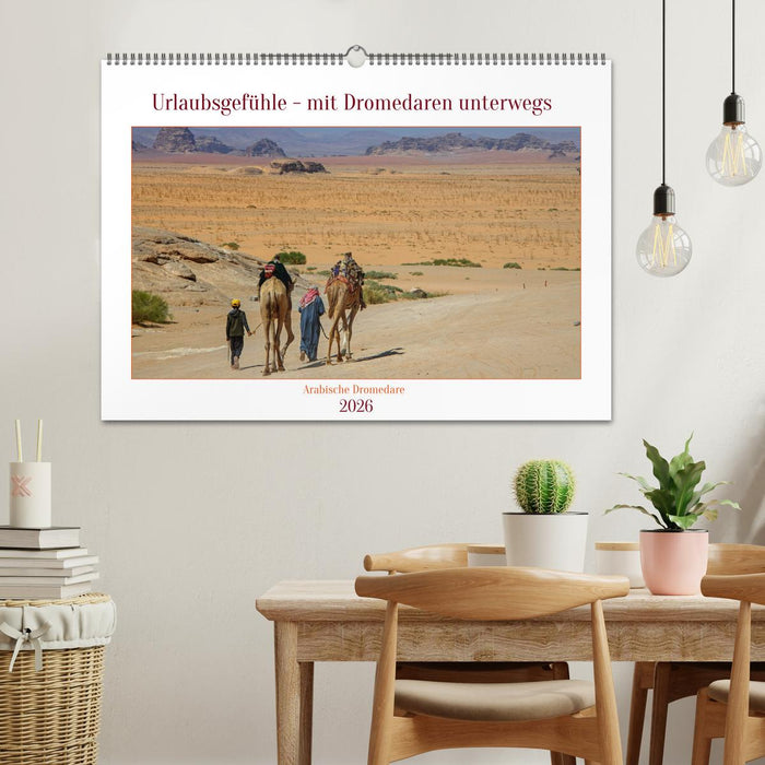 Urlaubsgefühle - mit Dromedaren unterwegs (CALVENDO Wandkalender 2026)