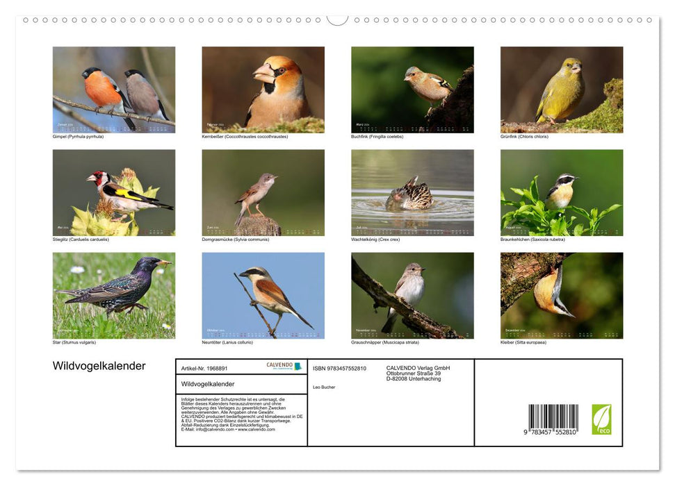 Wildvogelkalender (CALVENDO Premium Wandkalender 2026)